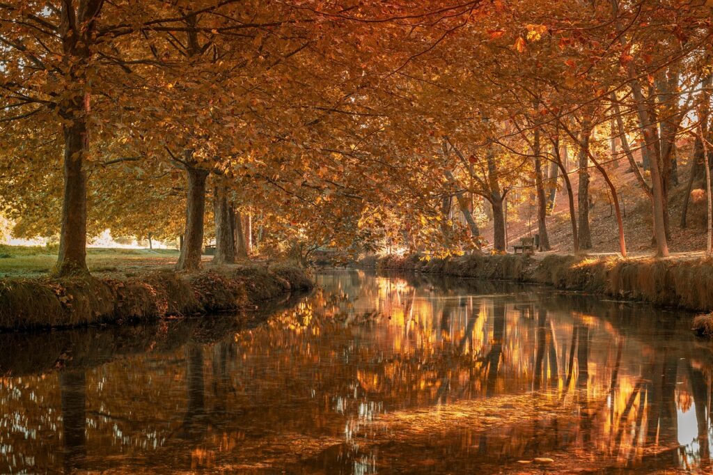 Combien de jours comporte une année scolaire ?