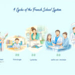 Comprendre les 4 cycles de l'école française